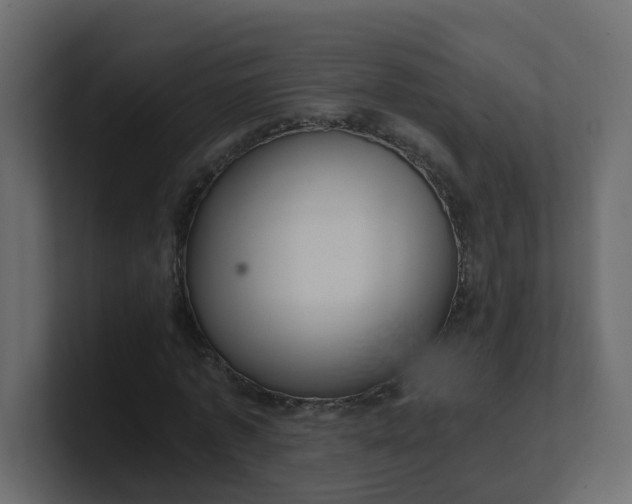 X0000101120773200807101542
