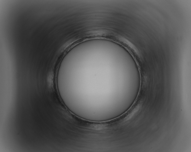 X0000101120778200807101542