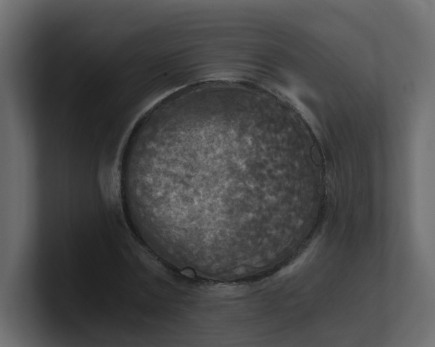 X0000101120779200807101542