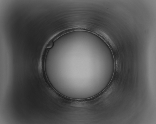 X0000101120780200807101542