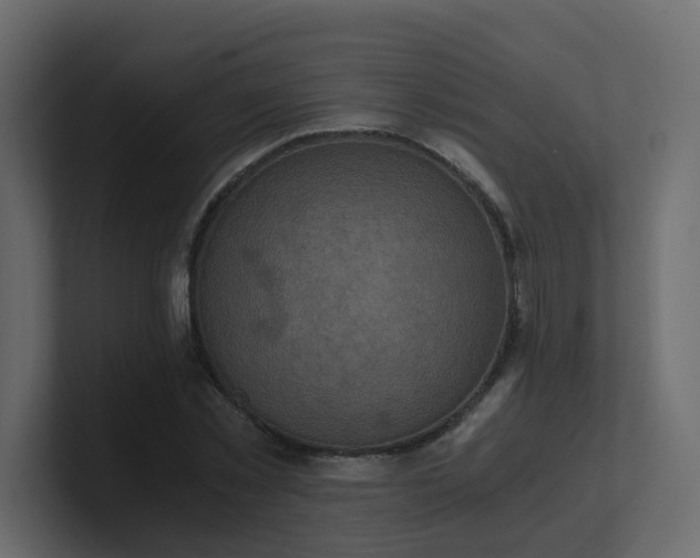 X0000101120781200807101542