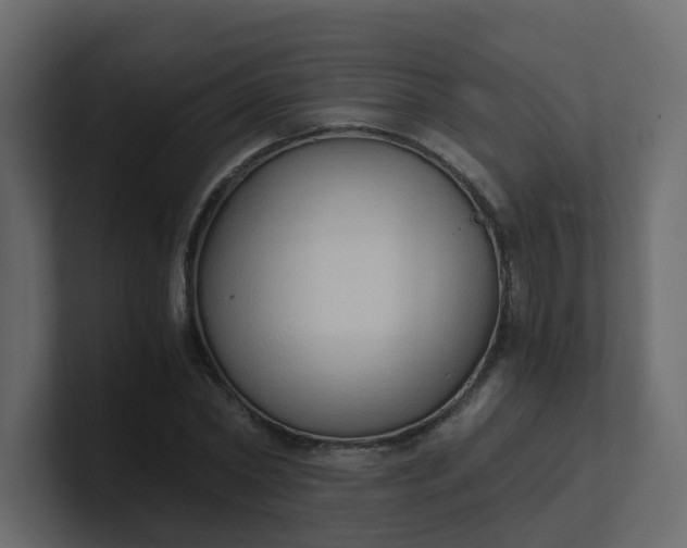 X0000101120782200807101542