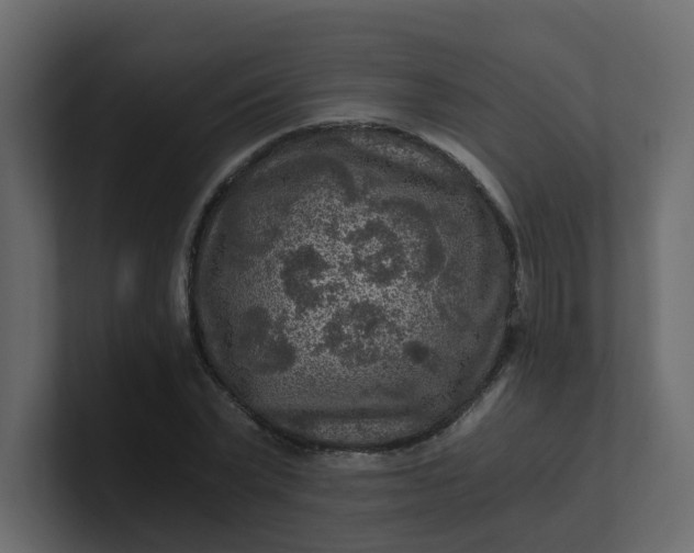 X0000101120783200807101542