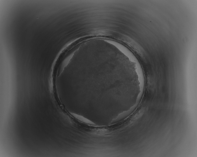 X0000101120784200807101542