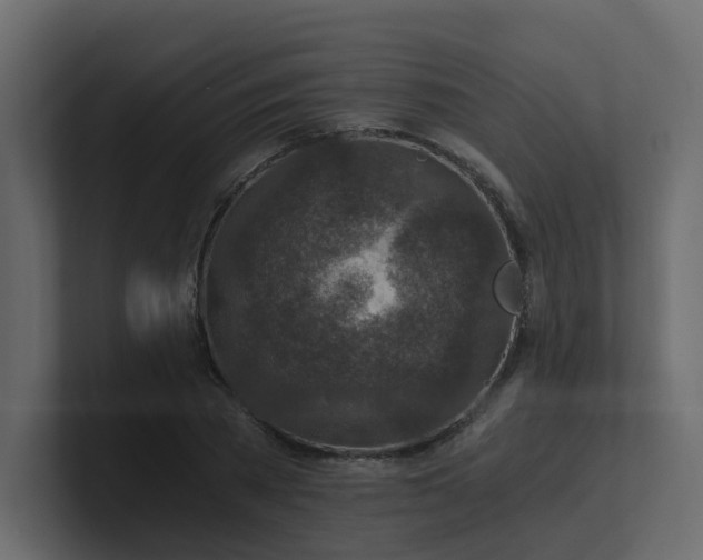 X0000101120785200807101542