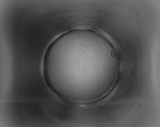 X0000101120787200807101542