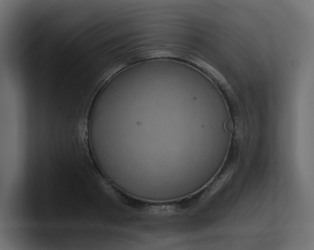 X0000101120793200807101542