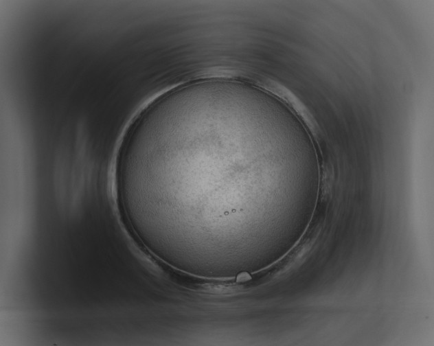 X0000101120795200807101542