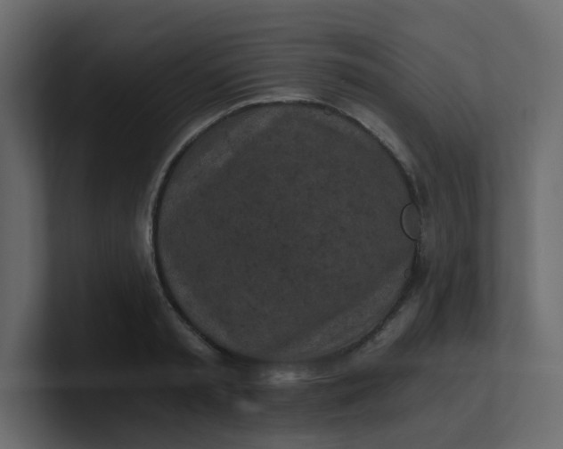 X0000101120797200807101542