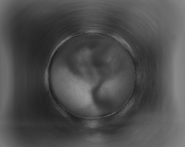 X0000101120798200807101542