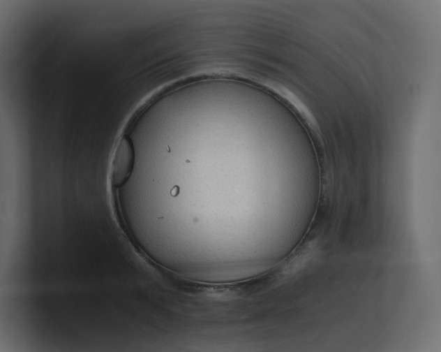 X0000101120799200807101542