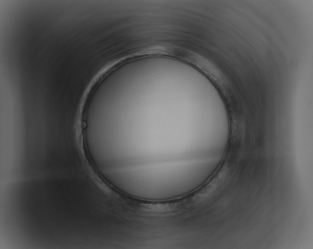 X0000101120800200807101542
