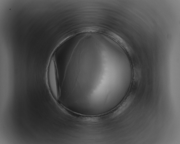 X0000101120802200807101542