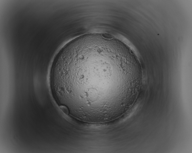 X0000101120803200807101542