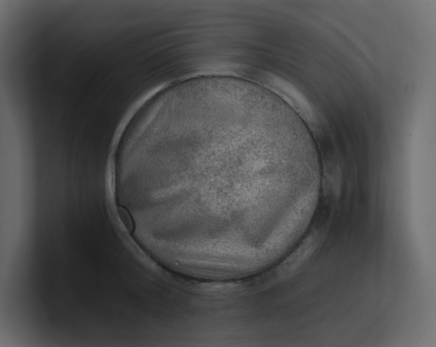 X0000101120804200807101542
