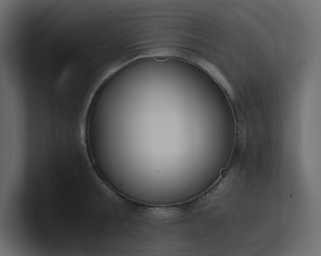 X0000101120805200807101541
