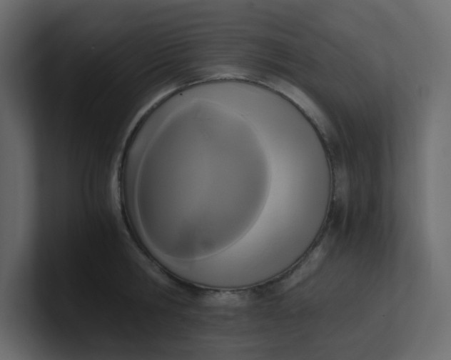 X0000101120806200807101541