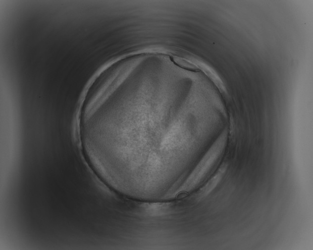 X0000101120808200807101541