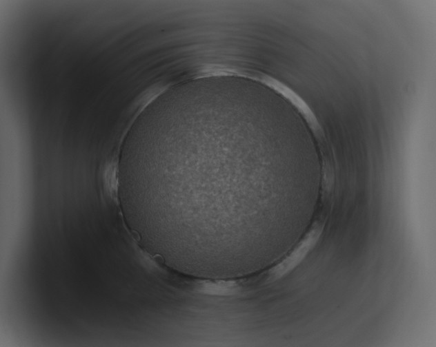 X0000101120809200807101541