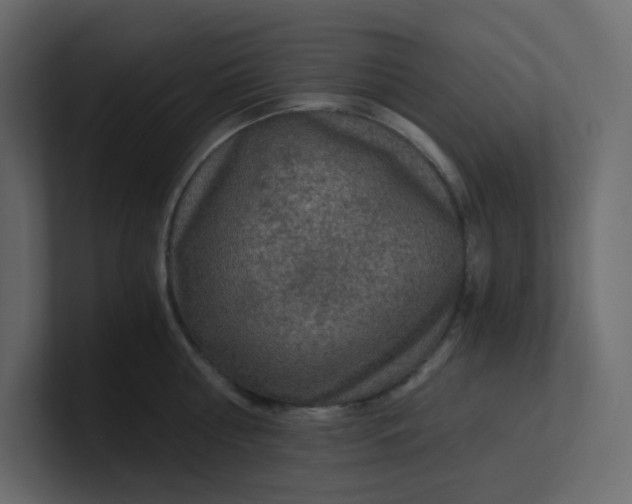 X0000101120810200807101541