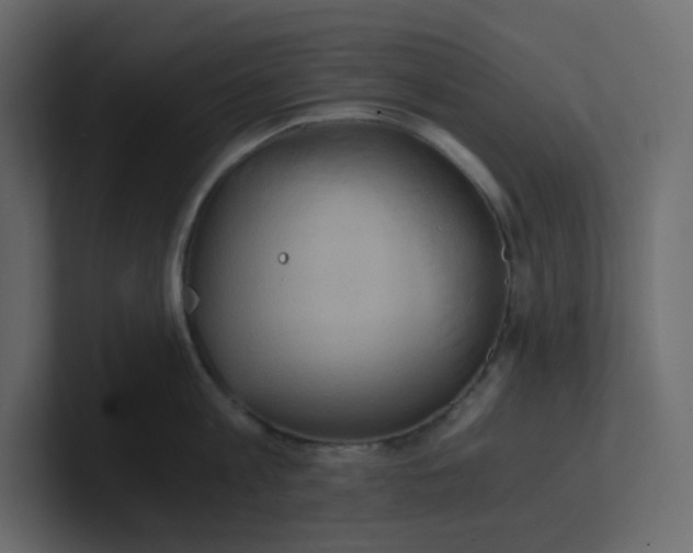X0000101120813200807101541