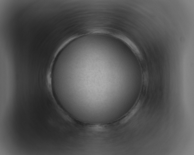 X0000101120814200807101541