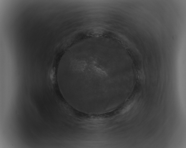 X0000101120818200807101541