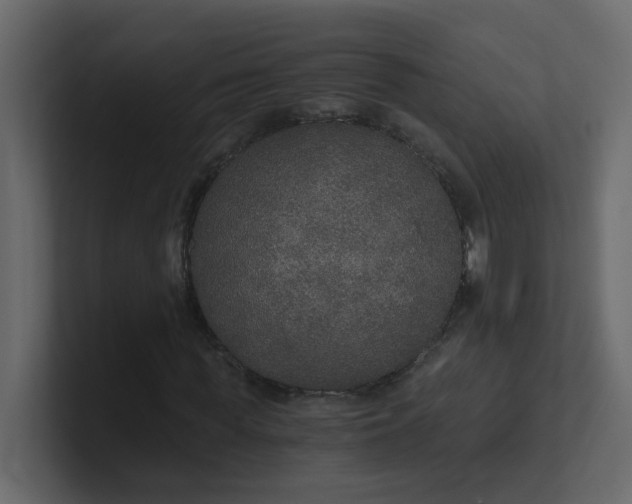 X0000101120819200807101541