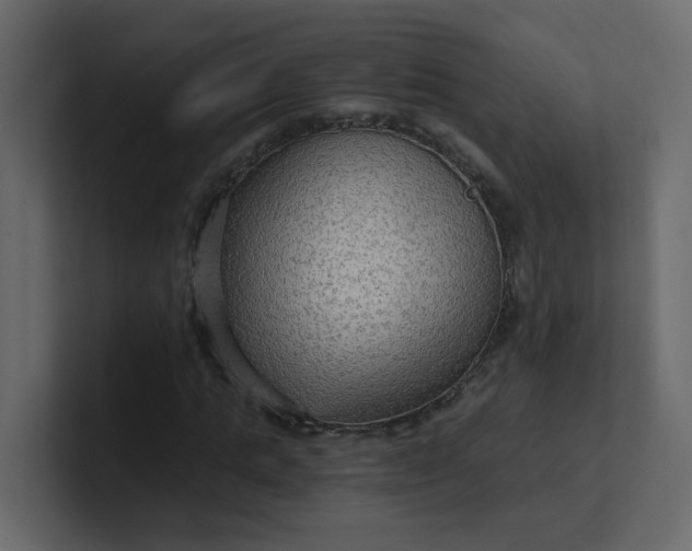 X0000101120821200807101541