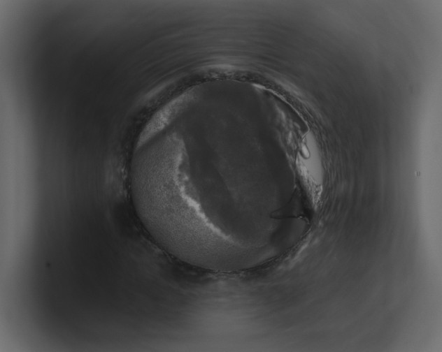 X0000101120822200807101541