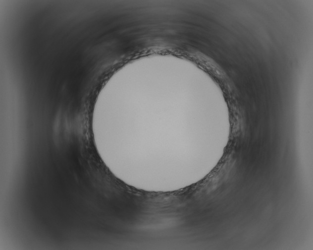 X0000101120824200807101541
