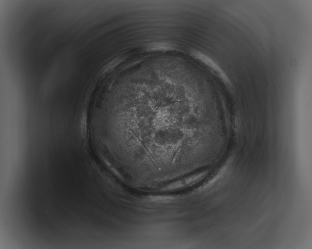 X0000101120825200807101541