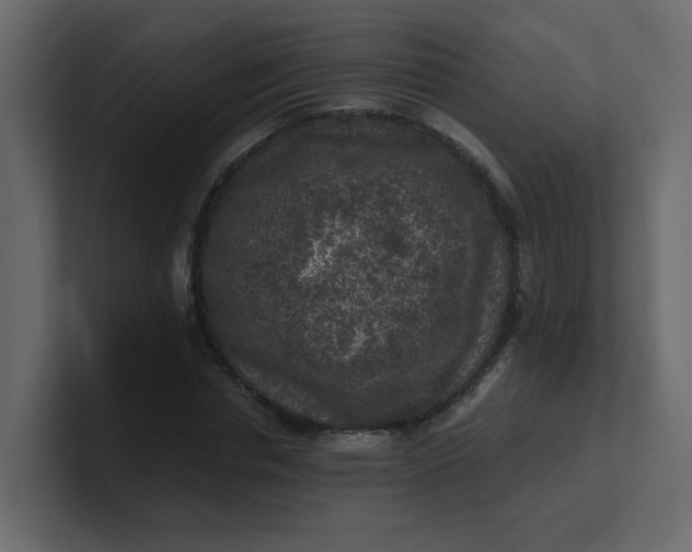 X0000101120826200807101541
