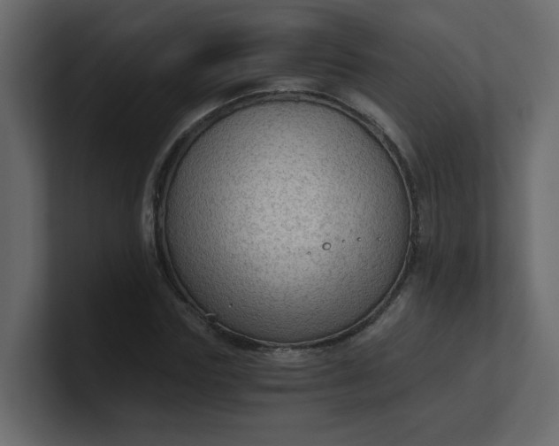 X0000101120827200807101541