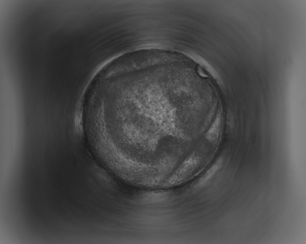 X0000101120830200807101541