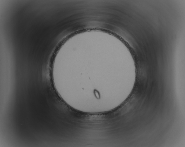 X0000101120832200807101541