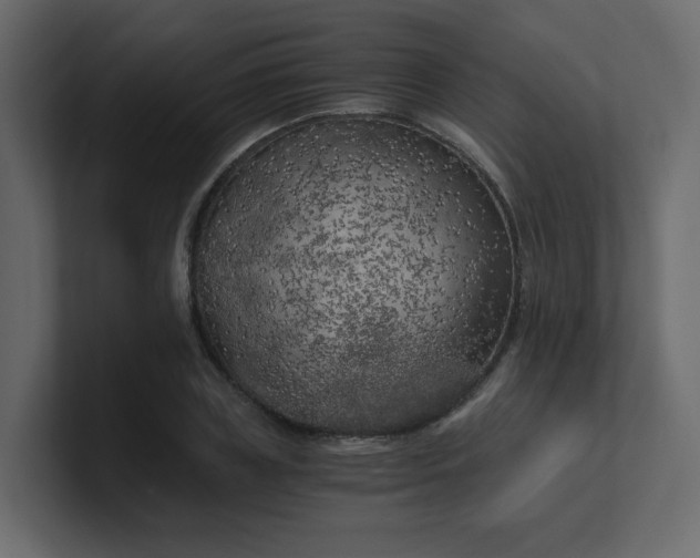 X0000101120835200807101541