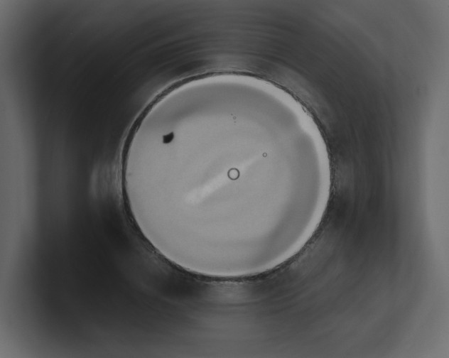 X0000101120836200807101541
