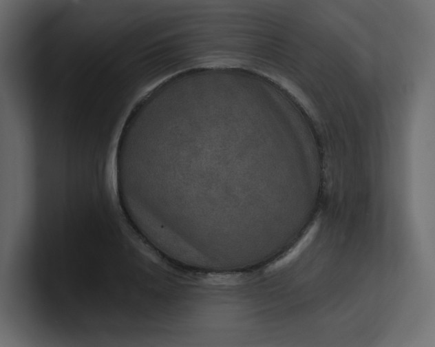 X0000101120840200807101541