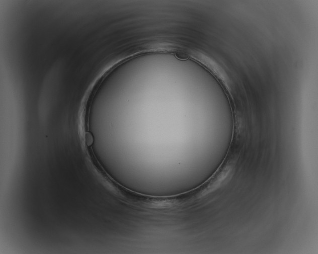 X0000101120843200807101541