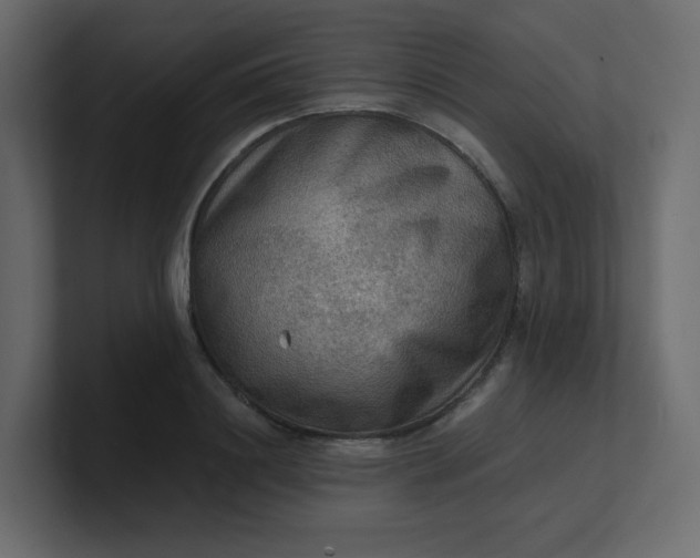 X0000101120844200807101541