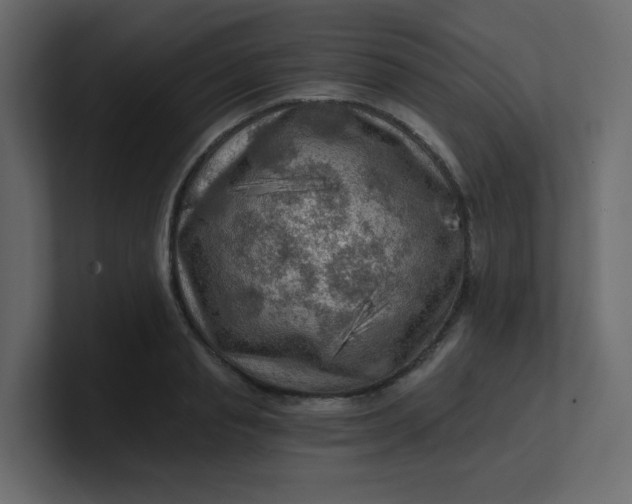 X0000101120845200807101541