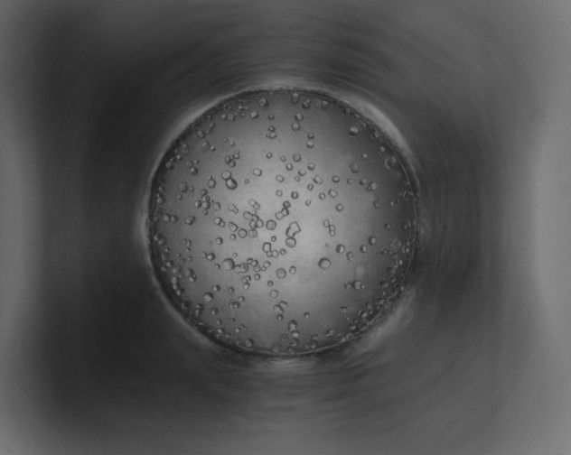 X0000101120847200807101541