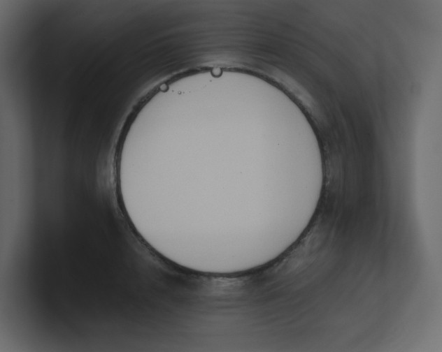 X0000101120848200807101541