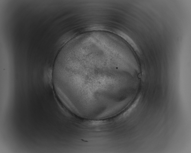 X0000101120849200807101541