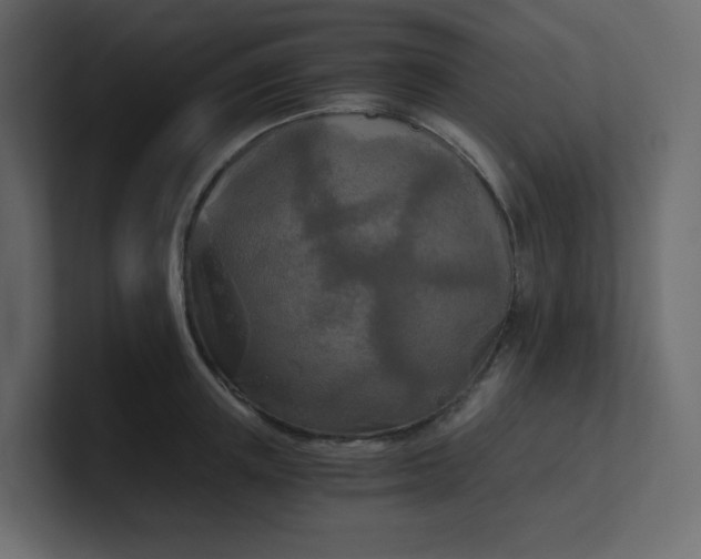 X0000101120851200807101541
