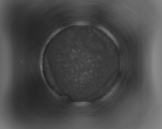 X0000101120853200807101541