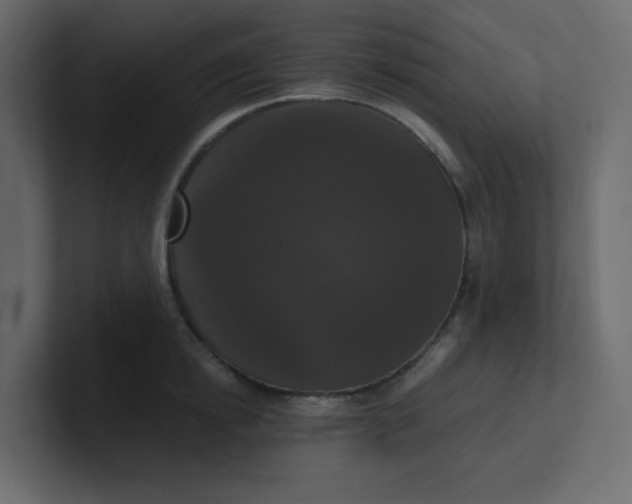 X0000101120854200807101541