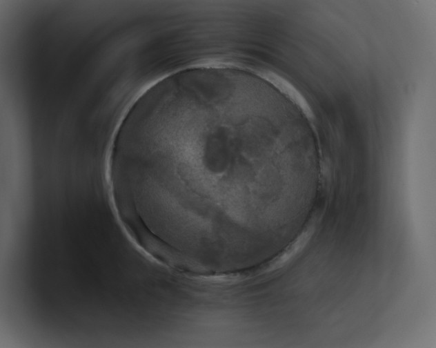 X0000101120855200807101541