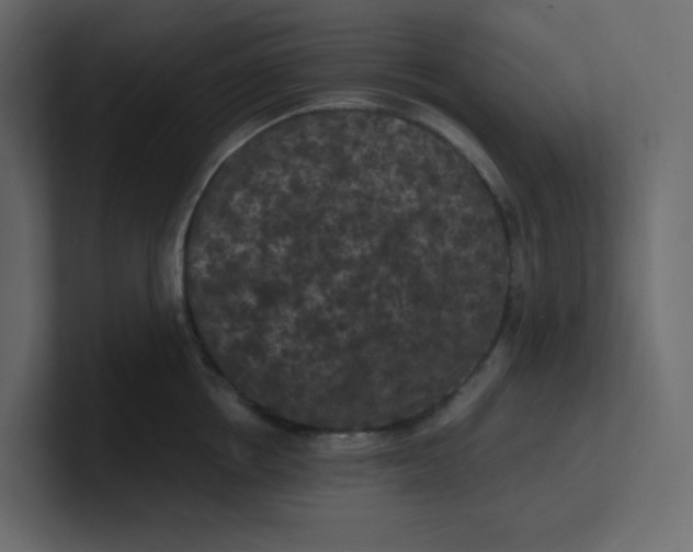 X0000101120858200807101541
